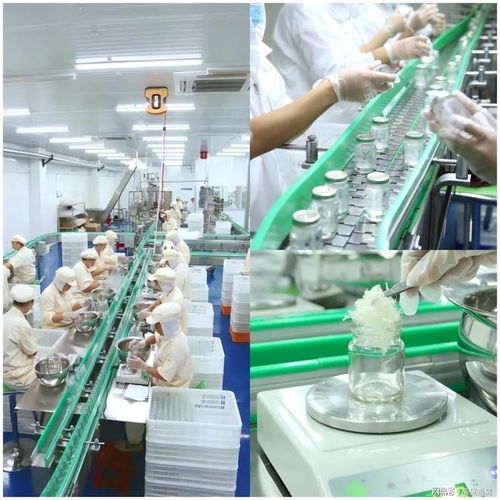 頂尖燕窩定制工廠的產(chǎn)品差異化之路 從配方到服務(wù)的全方位技術(shù)賦能